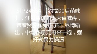 身材超好的极品无毛美女被大JB男友干