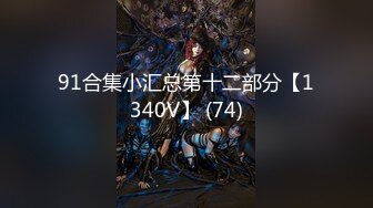 91合集小汇总第十二部分【1340V】 (74)