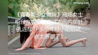 続・妻ネトリ 郁美と静香