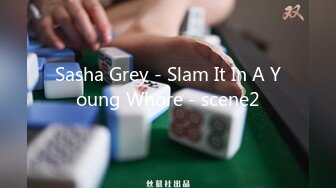 Sasha Grey - Slam It In A Young Whore - scene2