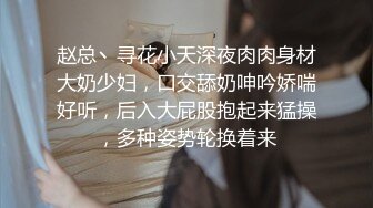 贺岁：女上后入之一