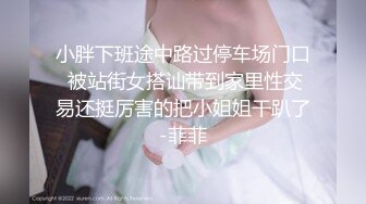 小胖下班途中路过停车场门口 被站街女搭讪带到家里性交易还挺厉害的把小姐姐干趴了-菲菲