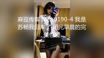 麻豆传媒 MDHT-0009《奇淫旅社》分手后的肉体慰藉