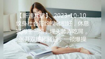 女仆主题系列第二集