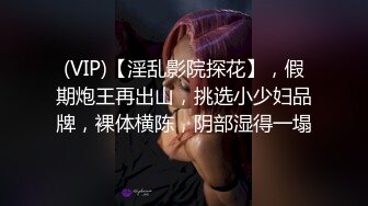 (VIP)【淫乱影院探花】，假期炮王再出山，挑选小少妇品牌，裸体横陈，阴部湿得一塌