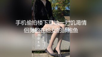 奔馳哥的迷人母狗小情婦，舔狗壹樣，坐在副駕駛伸進短裙裏扣茓108P+3V