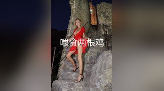 烈焰红唇花臂纹身美乳小姐姐，脱掉衣服扭动细腰，坐在椅子上振动棒插穴