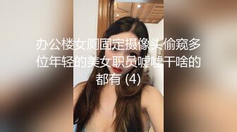 十二月新流出厕拍大神暗夜潜入商场女厕全景偷拍美女尿尿穿着睡衣拖鞋居然出现在商场厕所