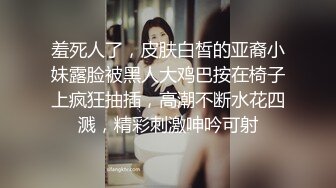 ★☆高端泄密☆★最新破解热门精舞门系列，数位环肥燕瘦女模露逼露奶情趣装劲曲搔首弄姿摇摆挑逗，4K横屏全景视觉效果一流 (7)