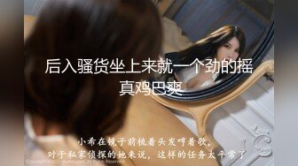 勾搭良家人妻 FC2卖家人妻爱奴 部分中文字幕作品合集【66V】 (15)