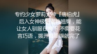 我是大奶情妇