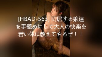 [HBAD-563] 同居する娘達を手籠めにして大人の快楽を若い体に教えてやるぜ！！