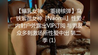 【爆乳女神❤️重磅核弹】高铁紫薇女神『Naomii』性爱内射户外露出VIP订阅 与男友众多刺激场所性爱中出 第二季 (1)