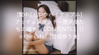 [繁中][ピンクパイナップル]アッチェレランド～墮天使たちの囁き～ CONTENTS.1「in the cafe」[世徒ゆうき]