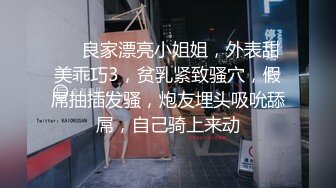 OnlyFan 何以笙箫墨