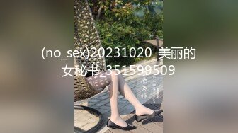 (no_sex)20231020_美丽的女秘书_351599509