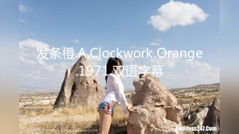 发条橙.A.Clockwork.Orange.1971.双语字幕