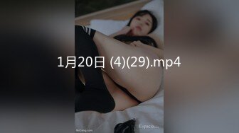 [高清中文字幕]JBD-228 被捆綁侵犯的巨乳人妻小向美奈子獨家聽譯版