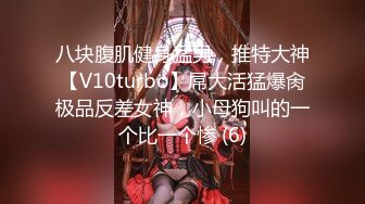 八块腹肌健身猛男，推特大神【V10turbo】屌大活猛爆肏极品反差女神，小母狗叫的一个比一个惨 (6)