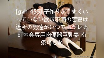 [gvh-455] 子作りがうまくいっていない欲求不満の若妻は近所の男達がいつでもヤレる町内会専用肉便器巨乳妻 南条いちか