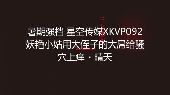 暑期强档 星空传媒XKVP092妖艳小姑用大侄子的大屌给骚穴上痒・晴天