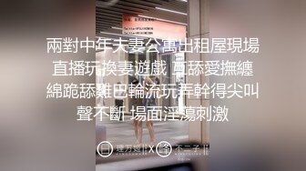 靓丽人妻3p