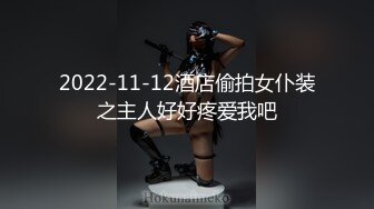 2022-11-12酒店偷拍女仆装之主人好好疼爱我吧