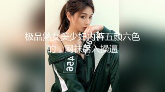 极品熟女美少妇内裤五颜六色的，网袜后入操逼