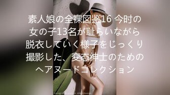 素人娘の全裸図鉴16 今时の女の子13名が耻らいながら脱衣していく様子をじっくり撮影した、変态绅士のためのヘアヌードコレクション