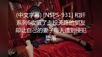 (中文字幕) [NSPS-931] 和奸系列6收留了走投无路的朋友却让自己的妻子每天遭到侵犯堕落