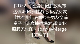 91李公子新秀大奶小少妇服务周到