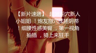 大师级作品 小手电强拍极品美少妇阴毛杂乱的鲍鱼